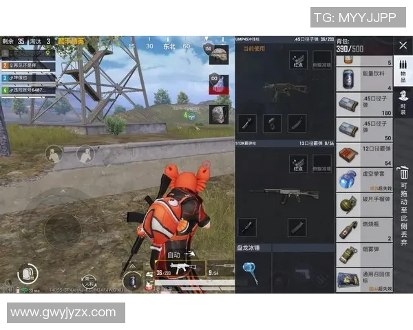 聚焦和平精英V5版本的强大力量与游戏策略探讨