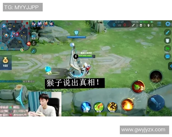 王者荣耀评论分析FPX在比赛中控制能力的优劣势及其影响